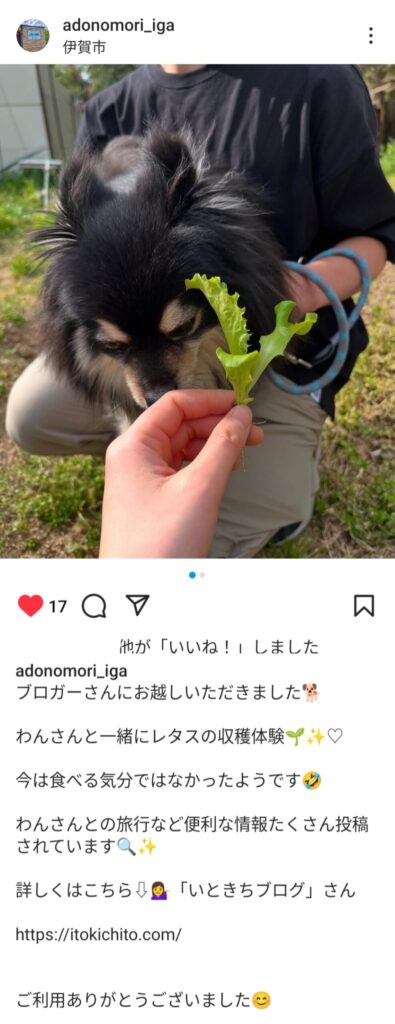 Adoの森　Instagram